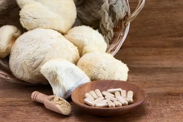 What is Lion's Mane Mushroom Extract Powder Good For?
