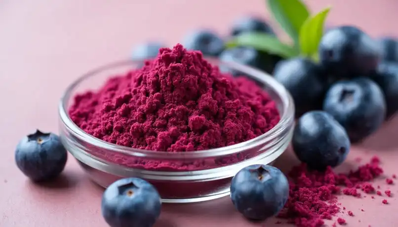 Blueberry Extract Powder: Nature's Food Coloring Revolution