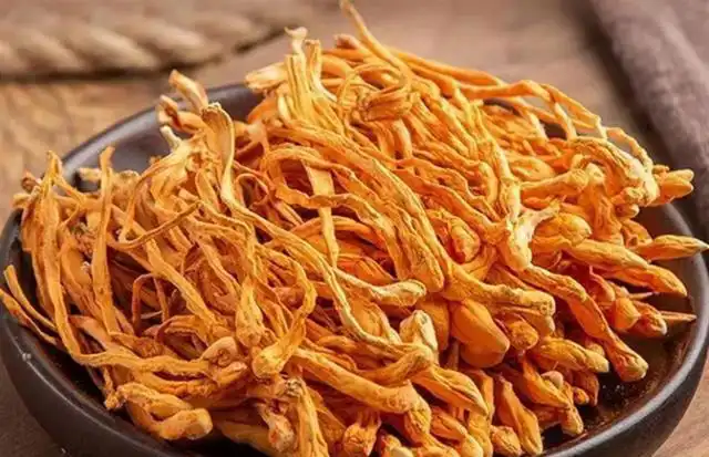 കോർഡിസെപ്സ് മഷ്റൂം പൊടി എന്തിന് നല്ലതാണ്?