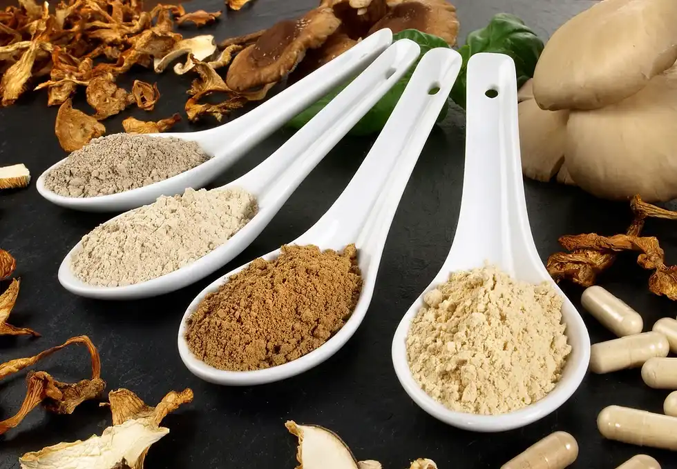 Oyster Mushroom Powder Benefits for Immune Health
