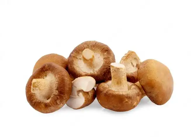 Discover the Benefits of Organic Shiitake Powder for Immune System Boost