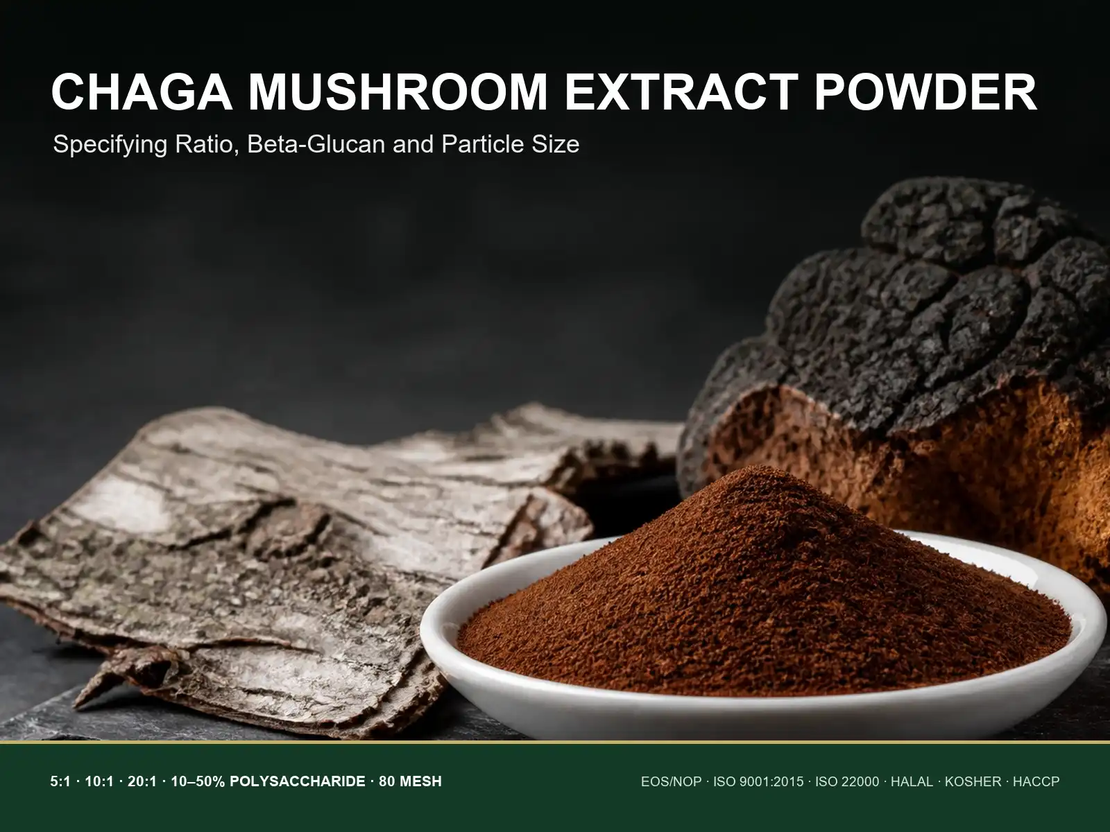 What Makes Chaga Mushroom Extract Powder a Popular Choice for Functional Ingredient Manufacturers?