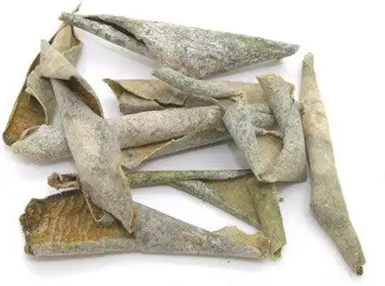 5 Powerful Benefits of Benincasa Hispida Peel for Skin