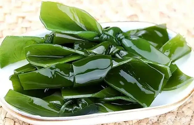 Kelp Extract vs Seaweed Extract: What’s the Real Difference?