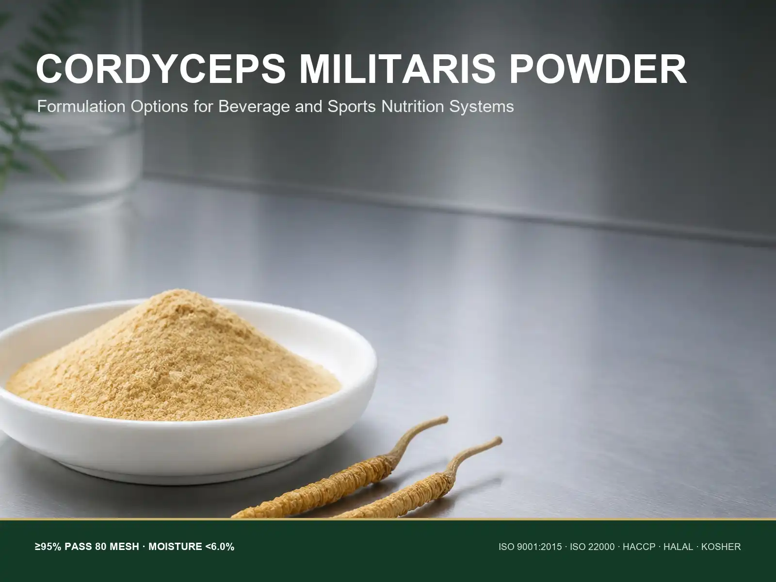 How Cordyceps Militaris Powder Supports Innovation in Functional Beverage and Sports Nutrition Formulations