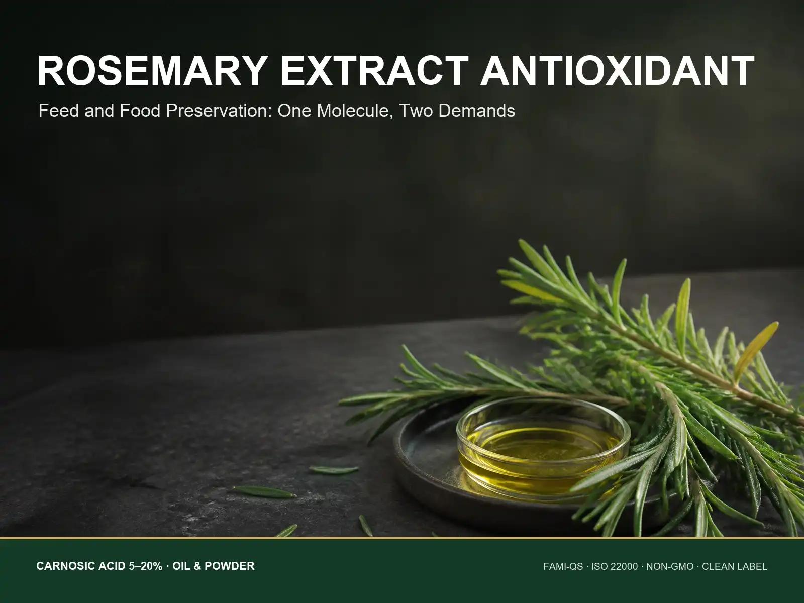 Rosemary Extract Antioxidant Applications in Food and Feed Preservation