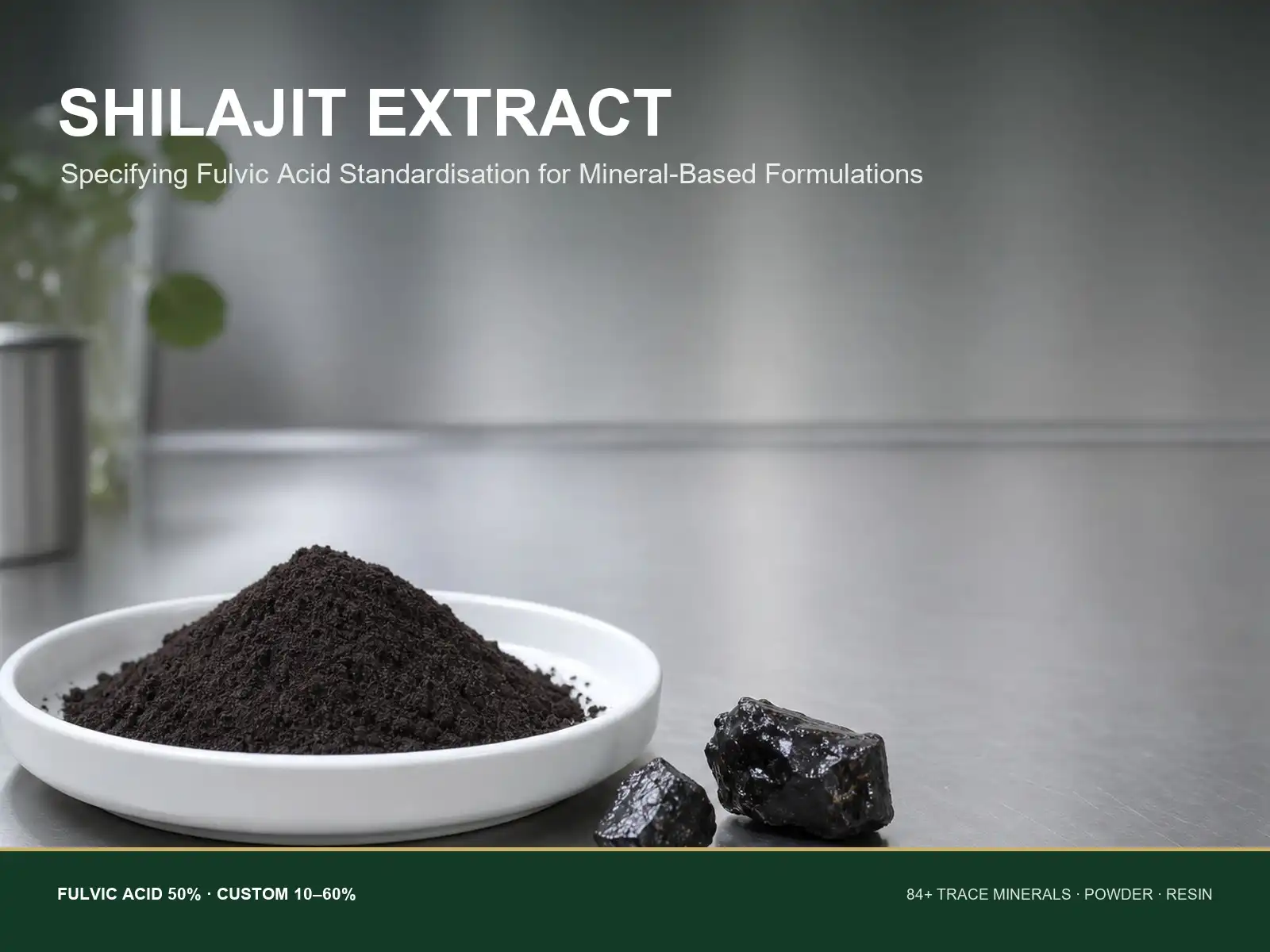 How Shilajit Extract Supports Mineral-Based Ingredient Development