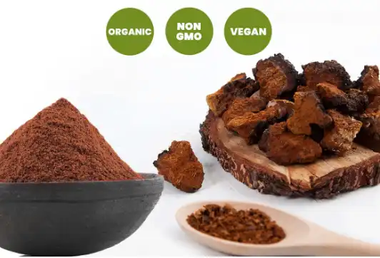 What are the Benefits of Organic Chaga Mushroom Powder?