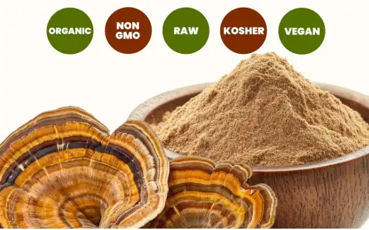 Strengthen Your Immunity with Organic Turkey Tail Powder