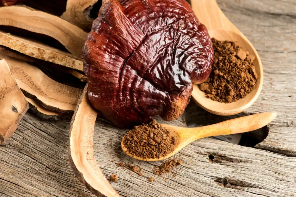 Bestrijd vermoeidheid op natuurlijke wijze met Reishi-paddenstoelenpoeder