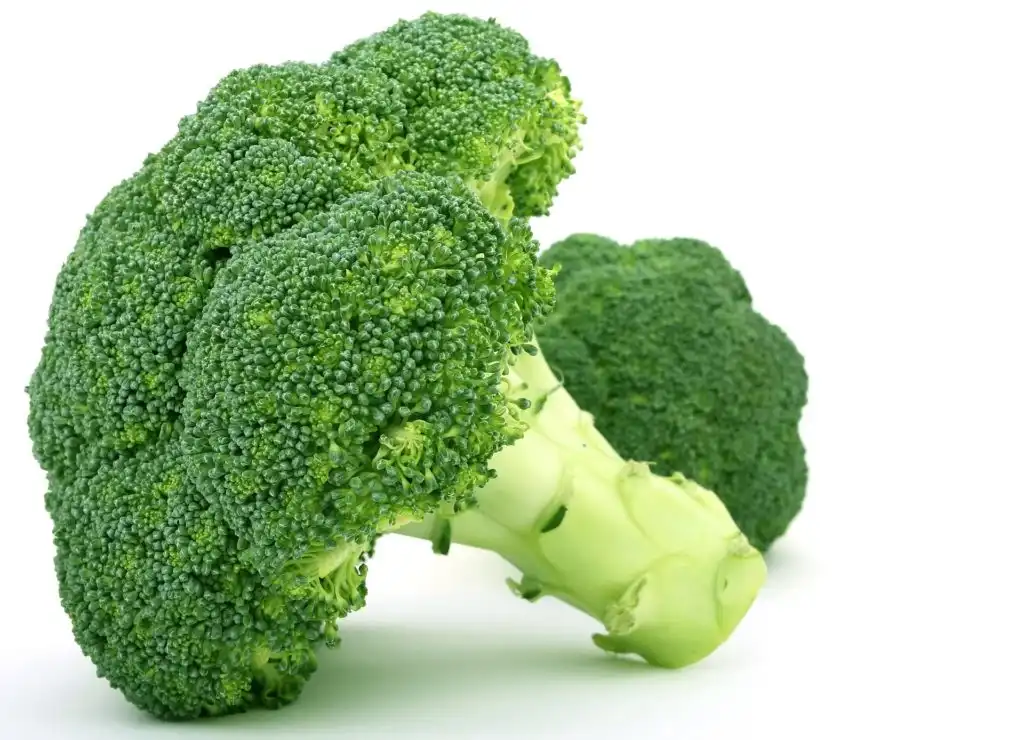 Sulforaphane Powder for Athletes