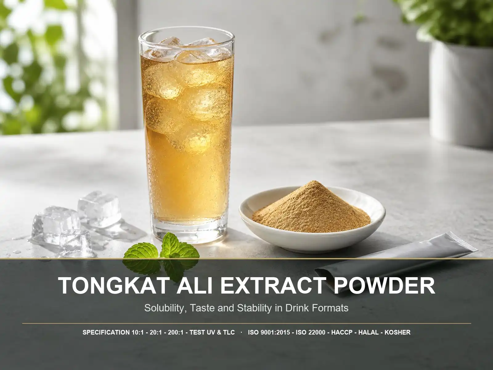 Can Tongkat Ali Extract Powder Fit Functional Beverage and Powdered Drink Formulations?