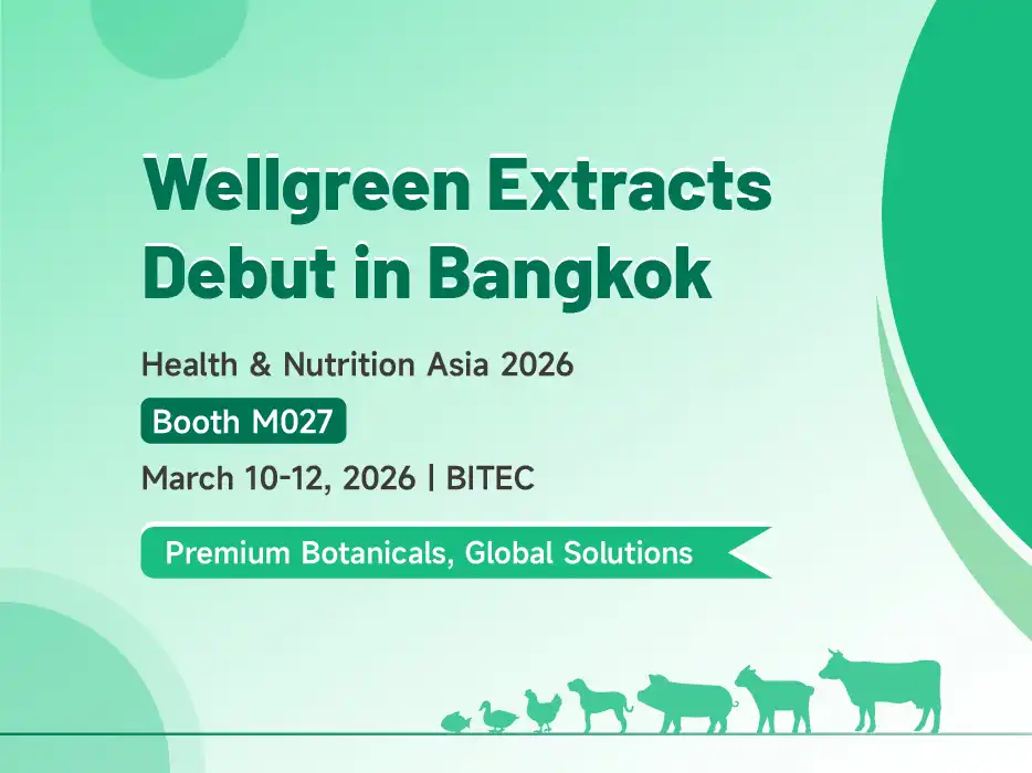 Wellgreen Spotlight: HNA 2026 တွင် ပရီမီယံ Yucca & Eucommia ဖြေရှင်းချက်များ