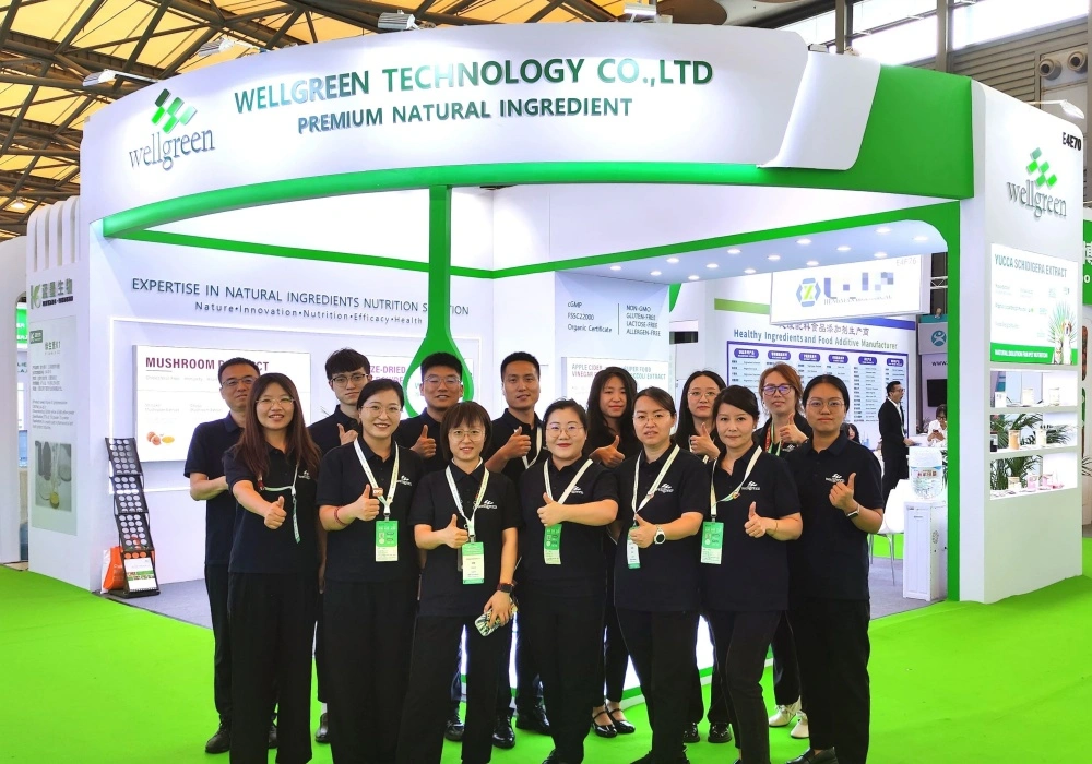 Wellgreen Successfully Exhibits at CPHI China 2025 and Hi & Fi Asia-China 2025 in Shanghai