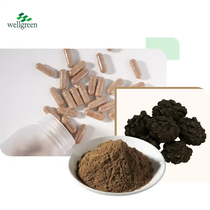 Shilajit Extract