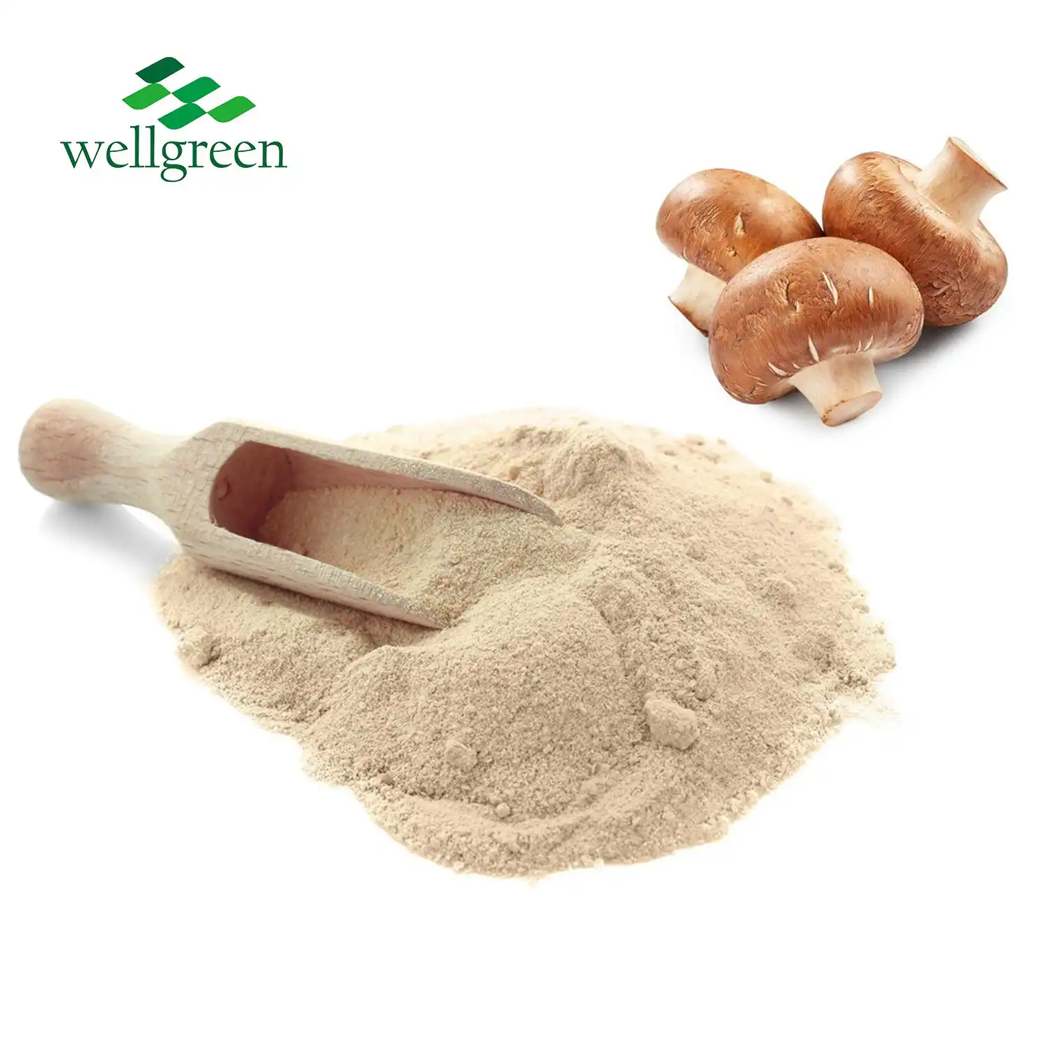 Organski Agaricus Bisporus u prahu
