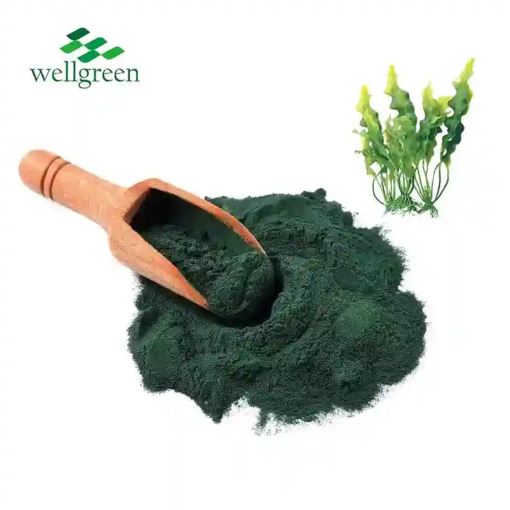 Spirulina u prahu