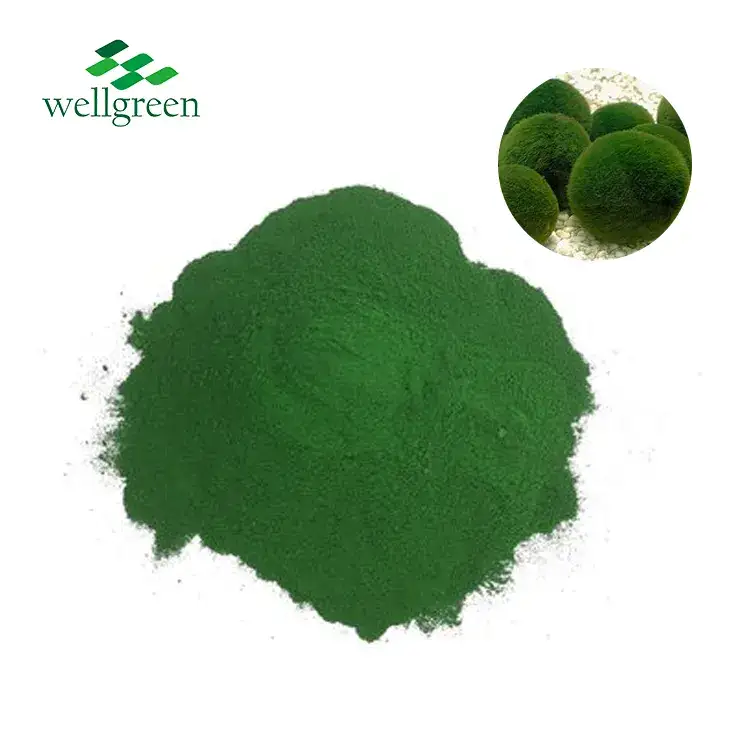 Chlorella prah