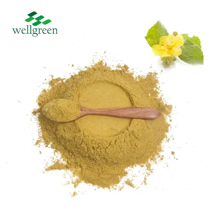 Forskolin u prahu