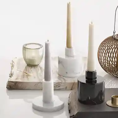 Ginkgo Biloba Leaf Extract Powder